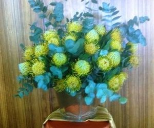 Sewe keer ek, vyf keer my