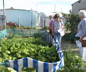 Blompark Garden Competition