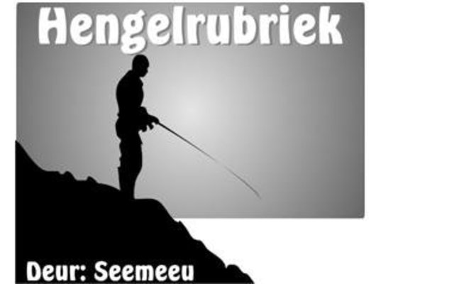 SeemeeuHengelRubriek_1