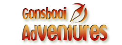 Gansbaai Adventures goes live