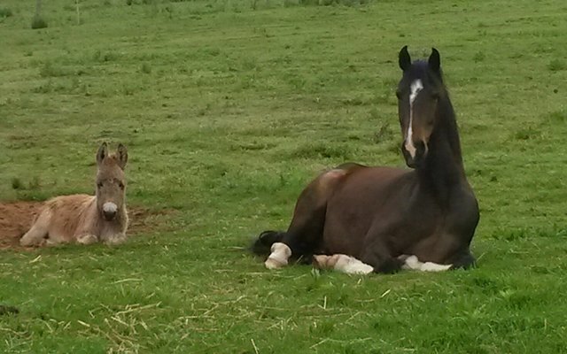 20141015_075134_resized