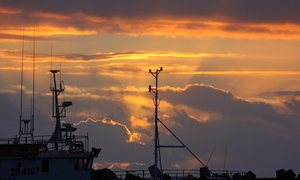 Sunday 14th Dec Sunset Cheese & Wine Trip - Ivanhoe