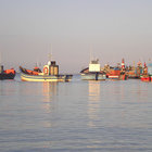 Harbour Struisbaai Harbour Struisbaai