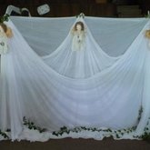 Feesnaweek 23 Nov 2014