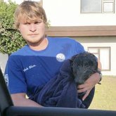 Dyer Island Conservation Trust Rescuing Seal Pups