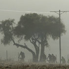 Outdoor Adventures - Mountain Biking