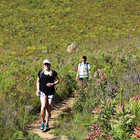 Summer runs Summer runs