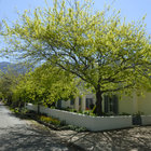 Springtime in Greyton