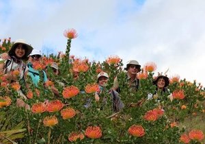 Come hike with us...