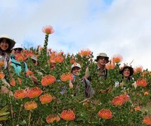 Come hike with us...