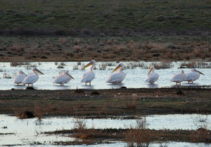 Escape to De Hoop for some birding photography and enter to win!