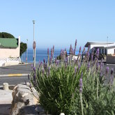 Down Franken Street towards Walker Bay