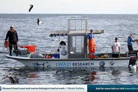 Our research vessel, Lwazi