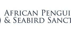 African Penguin and Seabird Sanctuary (APSS)
