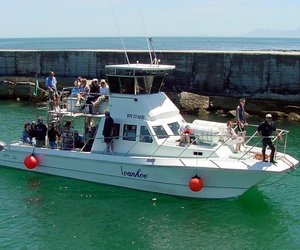 Birkenhead Commemoration on the 26 February 2015