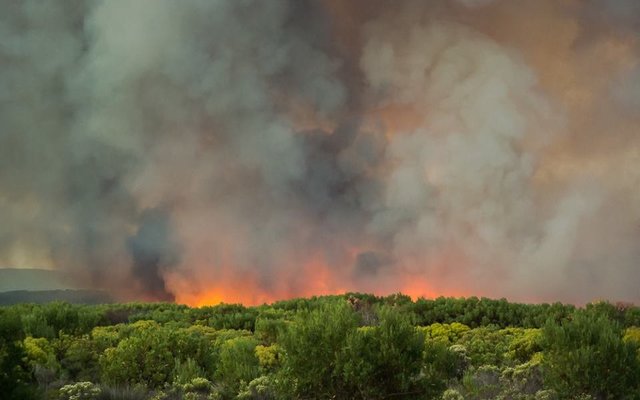 11025643_10152766116668100_4323895214878248279_n