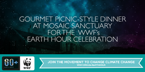 Gourmet Picnic-Style Dinner at Mosaic Sanctuary for the WW's Earth Hour Celebration