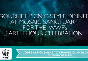 Gourmet Picnic-Style Dinner at Mosaic Sanctuary for the WW's Earth Hour Celebration