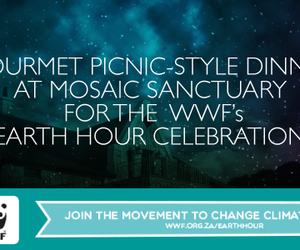 Gourmet Picnic-Style Dinner at Mosaic Sanctuary for the WW's Earth Hour Celebration