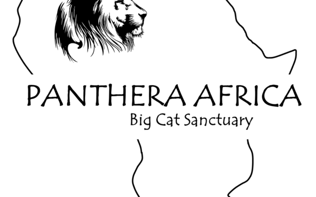 Panthera Africa visits