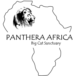 Panthera Africa visits