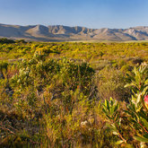 Felicita Farm just outside Stanford