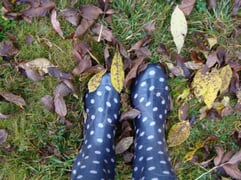 Picnic at Klein River this Winter