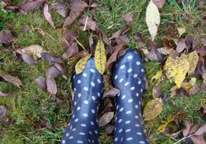 Picnic at Klein River this Winter