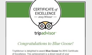 TripAdvisor Service Excellence Award 2015