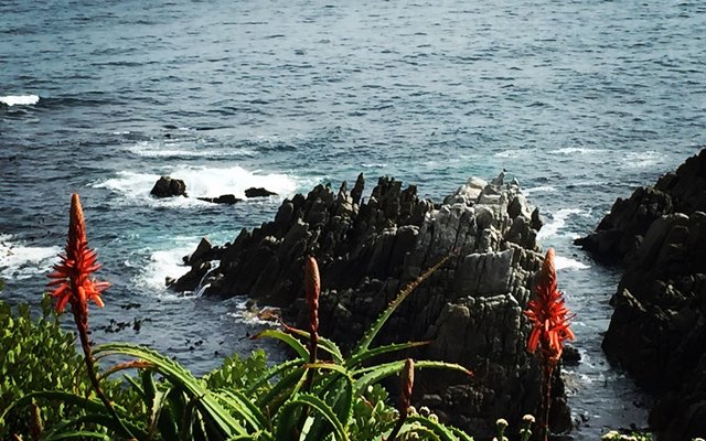 Sea view from Coffee on the Rocks