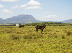 4. Rooisand Nature Reserve