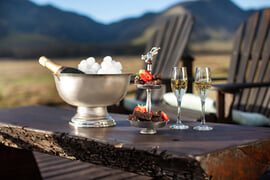 Thanks to our Excellent Guests!