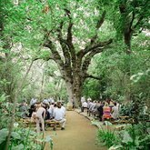 Marius & Marieke Wedding