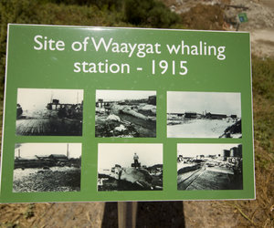 The Old Whaling Station