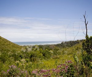 The Top 5 Outdoor Adventures in Betty's Bay