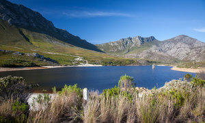 Pringle Bay & Rooi Els - the Nearby Attractions