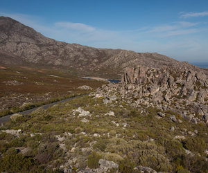 Pringle Bay's role in World War Two