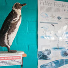 Visit the Eco-Centre