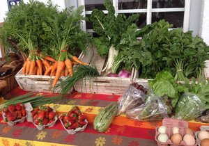 Wining and Dining in Wintry Stanford