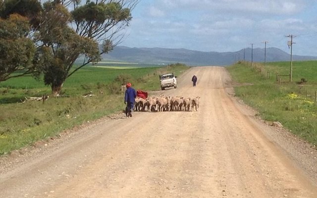 The Best kind of roadblock