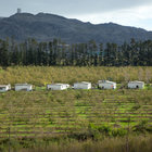 Cottages in the Hills Cottages in the Hills