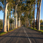 Road to Grabouw Road to Grabouw