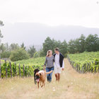 Walks in the Vineyards