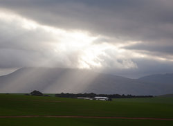 5. Experience the Thrill of Target Shooting and Archery