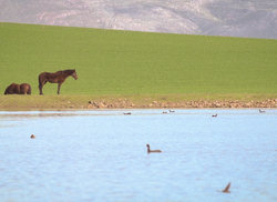 8. Enjoy Some Fishing With Friends and Family
