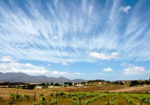 Beaumont Wine Estate (Compagnes Drift)