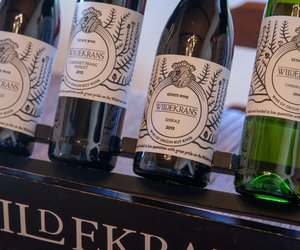 Botrivier to Hermanus - Wine Routes to Whale Watching