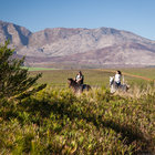 Horse Riding in Botrivier Horse Riding in Botrivier