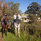 Horse Riding in Botrivier