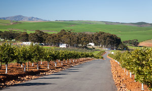 The 3 Best Attractions Outside of Caledon